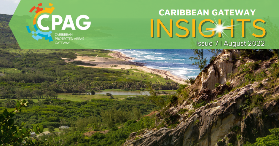 CPAG Newsletter Insights Issue 7